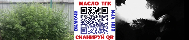 ТГК концентрат  купить закладку  Порхов 