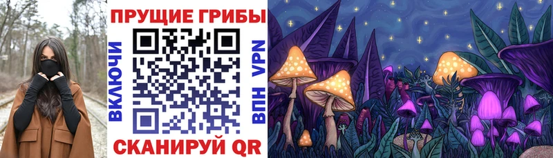 kraken рабочий сайт Порхов Галлюциногенные грибы Psilocybe